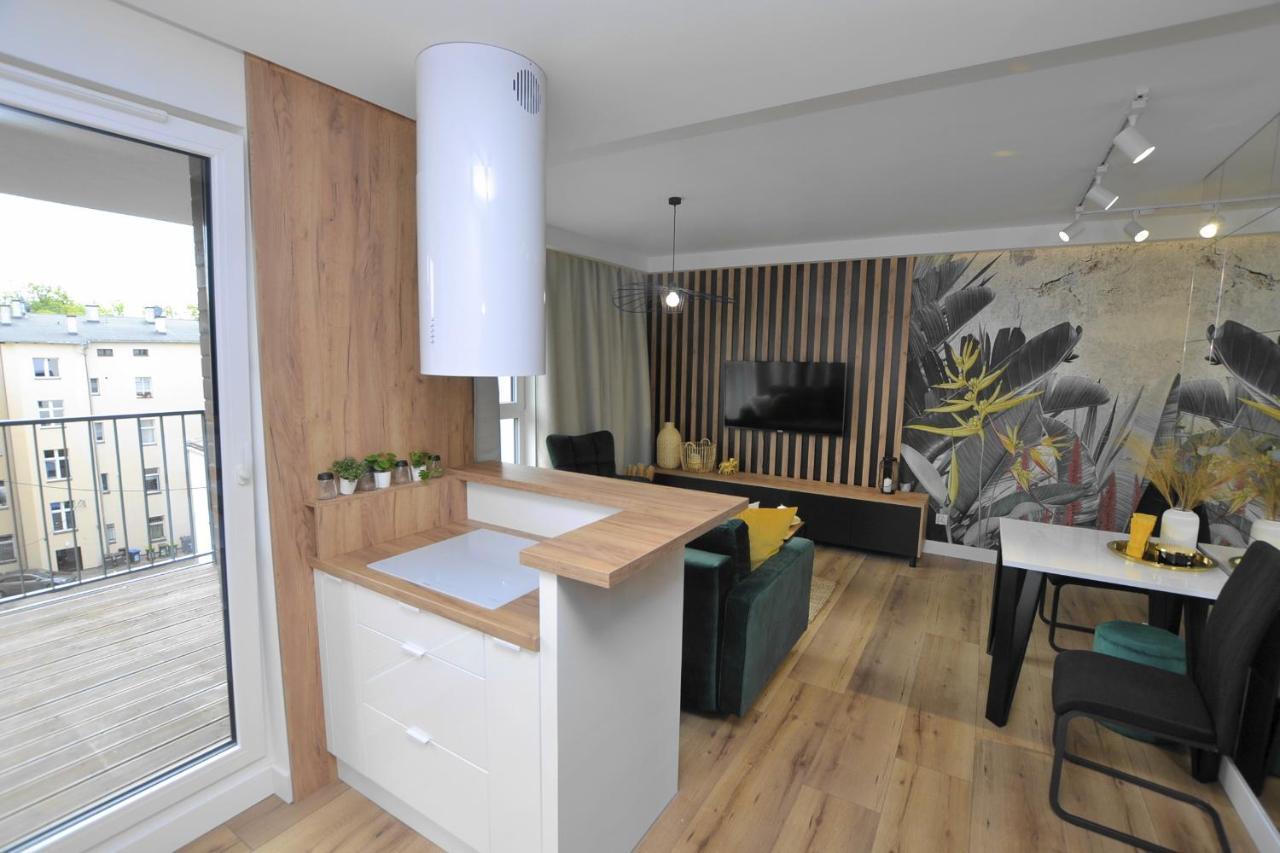 Apartament Krolowej Bony- Z Garazem Centrum Gliwic Hlivice Exteriér fotografie